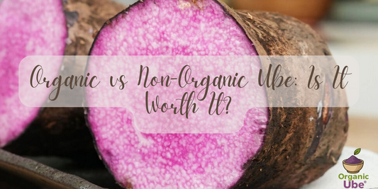 Organic vs Non-Organic Ube: Is It Worth It?