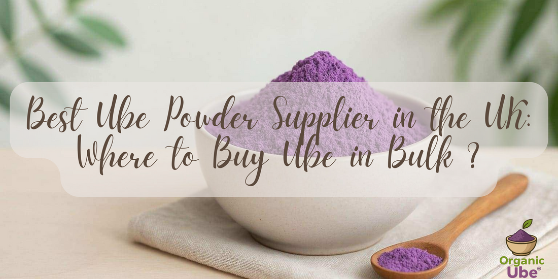 Best Ube Powder Supplier in the UK: Where to Buy Ube in Bulk ?