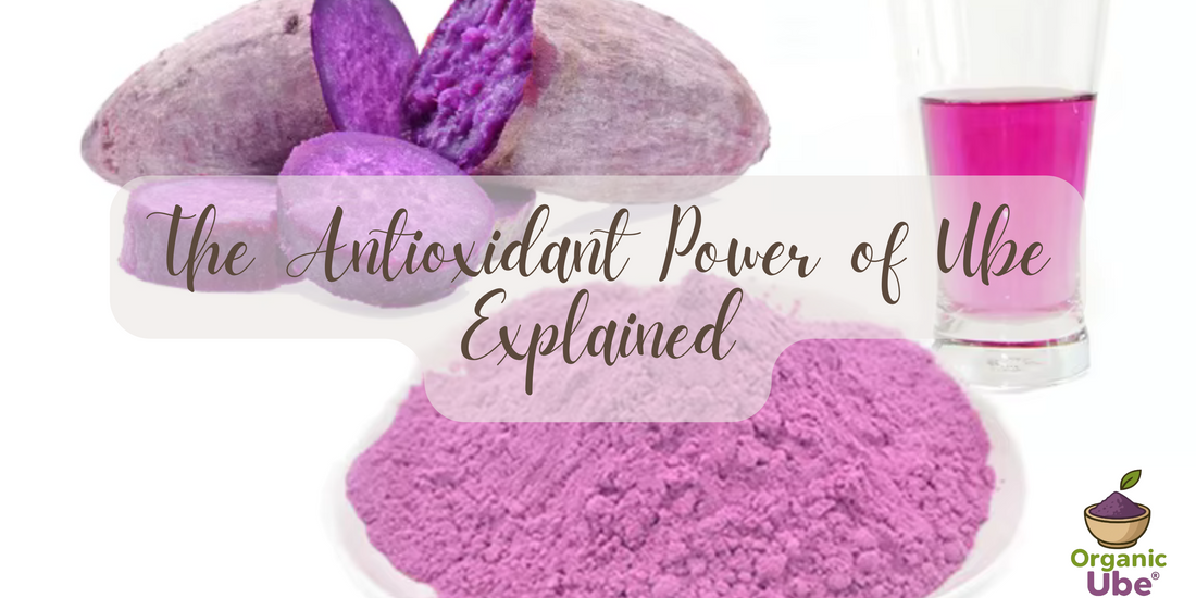 The Antioxidant Power of Ube Explained