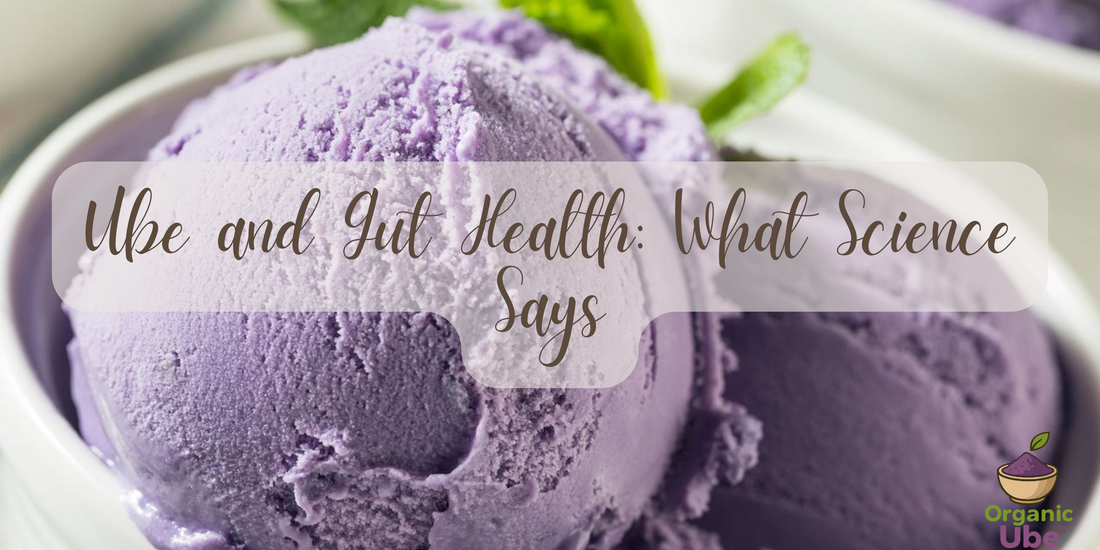 Ube and Gut Health: What Science Says