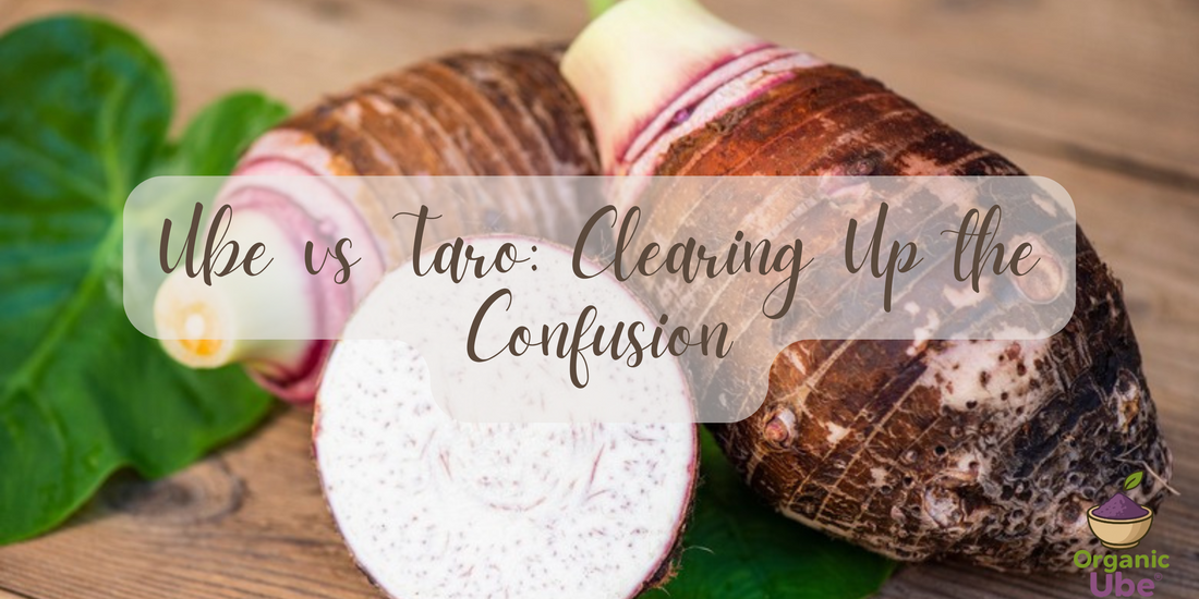 Ube vs Taro: Clearing Up the Confusion