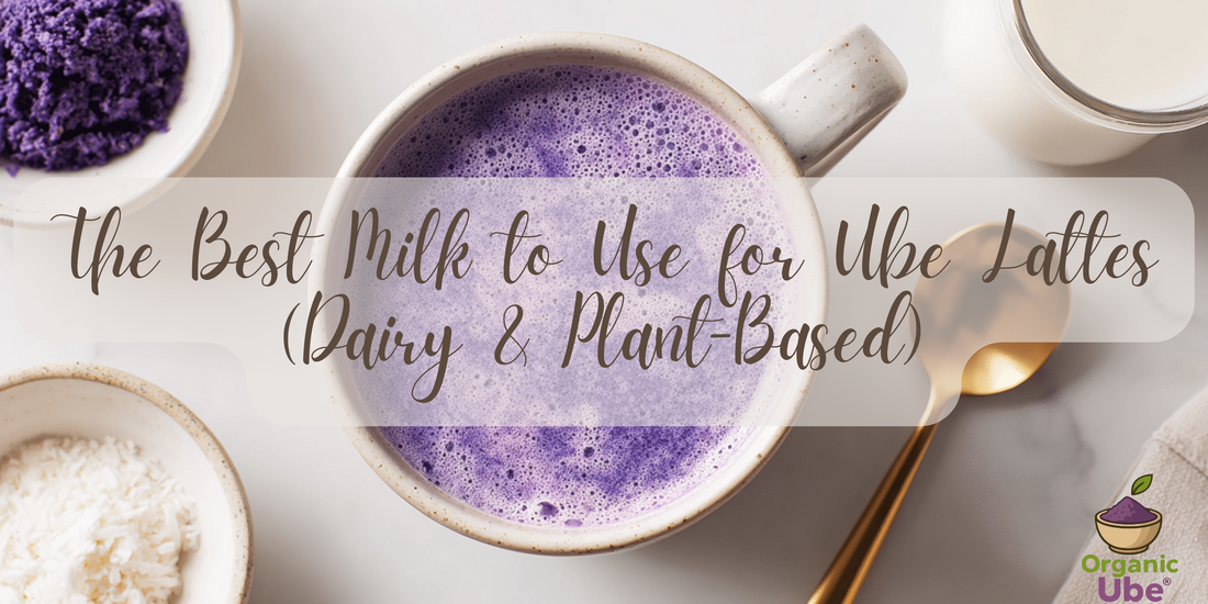 The Best Milk to Use for Ube Lattes (Dairy & Plant-Based)