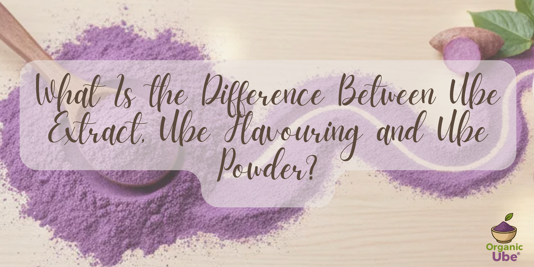 What Is the Difference Between Ube Extract, Ube Flavouring and Ube Powder?